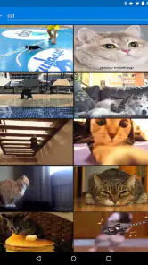 GIF Keyboard by Tenor screenshot