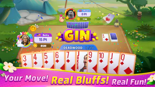 Gin Rummy Frenzy - Card Game screenshot