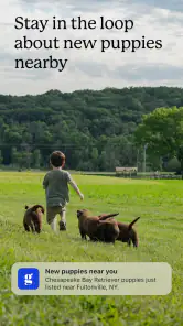 Good Dog: Find Your Puppy screenshot