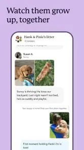 Good Dog: Find Your Puppy screenshot