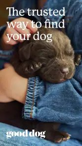Good Dog: Find Your Puppy screenshot