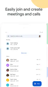 Google Meet screenshot