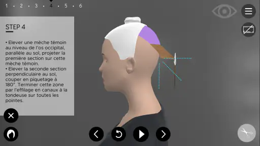Hairteach screenshot