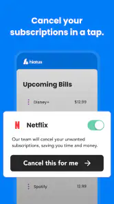 Hiatus: Bill and Money Manager screenshot