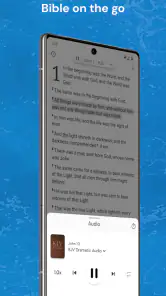 Holy Bible King James + Audio screenshot