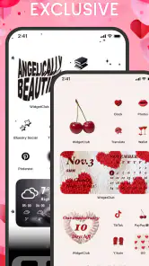 Icon changer & Widget Themes screenshot