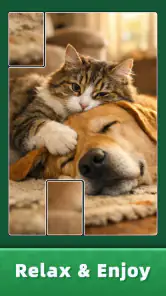 Jigsaw Puzzle Art: Relax Book screenshot