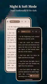 King James Bible (KJV) screenshot