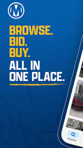 Manheim screenshot