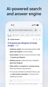 Microsoft Bing Search screenshot