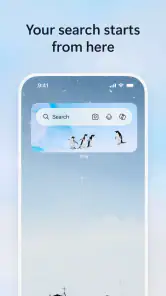 Microsoft Bing Search screenshot