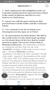 Mirror Study Bible screenshot