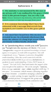 Mirror Study Bible screenshot
