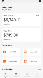 Money Network® Mobile App screenshot
