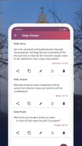 NIV Bible version, Offline app screenshot