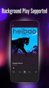 Offline Player: Local Music screenshot