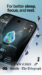 Opal Screen Time Limit & Timer screenshot