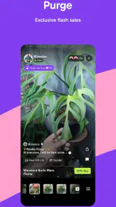 Palmstreet - Live shopping screenshot