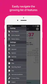Parking Kitty screenshot