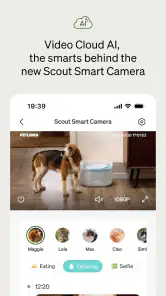 Petlibro screenshot