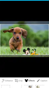 PhotoShare Frame v2 screenshot