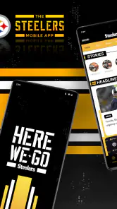 Pittsburgh Steelers screenshot