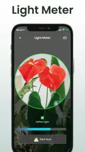 Plant Identifier: Plantiary screenshot