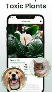 Plant Identifier: Plantiary screenshot