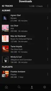 Plexamp screenshot