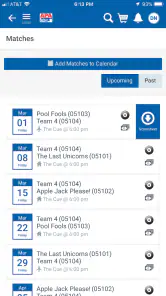 Pool League screenshot