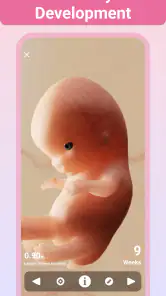 Pregnancy + | Tracker App screenshot