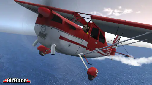 Pro Air Race Flight Simulator screenshot