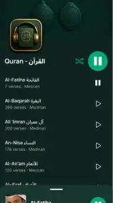 Quran Player Audio Offline screenshot