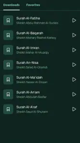 Quran Player Audio Offline screenshot