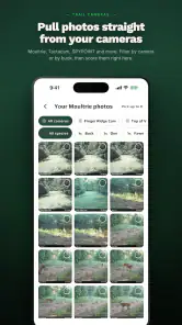 rackline.ai - AI Deer Scoring screenshot