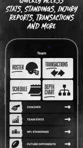 Raiders + Allegiant Stadium screenshot