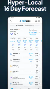 RainDrop: Virtual Rain Gauge screenshot