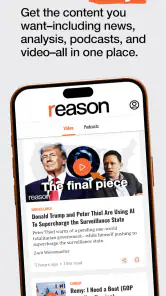 Reason screenshot