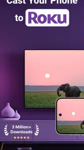 Roku Screen Mirror & Cast TV screenshot
