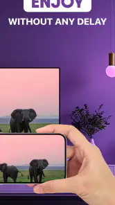 Roku Screen Mirror & Cast TV screenshot