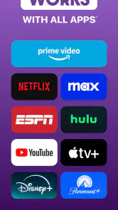 Roku Screen Mirror & Cast TV screenshot