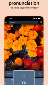 Rosetta Stone Sapphire screenshot
