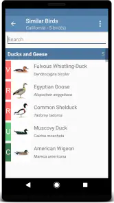 Sibley Birds 2nd Edition screenshot
