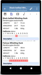 Sibley Birds 2nd Edition screenshot