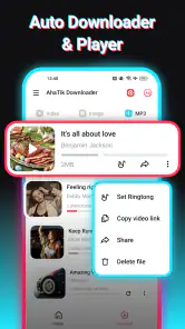 SnapTik - TT Video Downloader screenshot