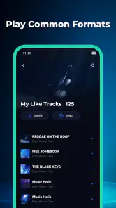 SongTrail: Offline Music screenshot