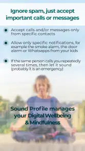 Sound Profile (Volume control) screenshot