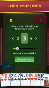 Spades For Seniors: Card Game screenshot