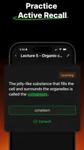 Studley: AI Study Tutor screenshot