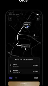 Tesla Robotaxi screenshot